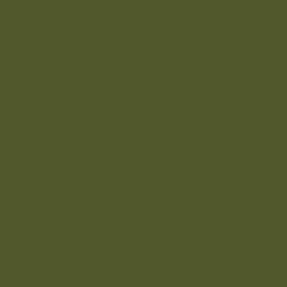 Pellicola di mascheratura CS verde 5,0 m x 120 m Pieghevole centrale*ex V150455