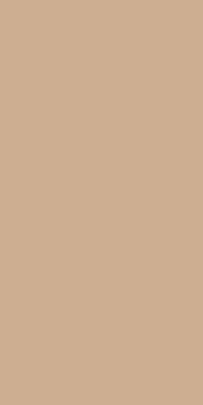 Lesonal  1K Multi Kunststoff-Primer WE, 1L
