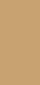 Lesonal UV Filler, light grey 0.75 / Lesonal UV Fondo, grigio chiaro 0,75L