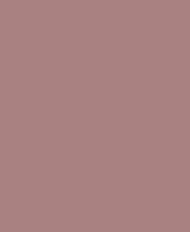 Lesonal Uni couleurs de base vernis HS 420 MM06 WE/DC liant 1L