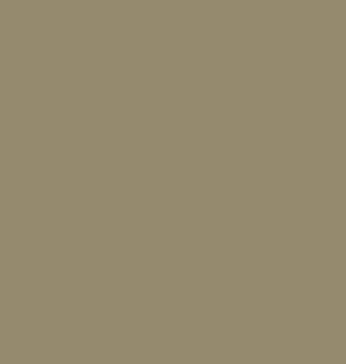 PolyPrimer Fondo per plastica hellgrau matt 1Kg  (grigio chiaro opaco)