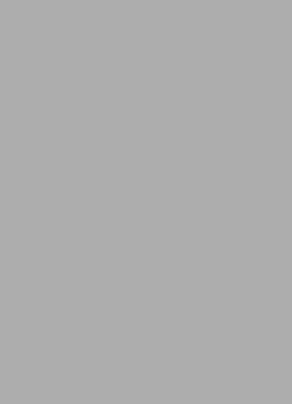 Standox Basislack Mix 891 Silberdollar hell, grob