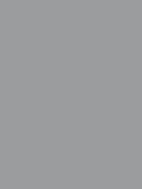 Standox VOC Surfacer Xtra gris U7560