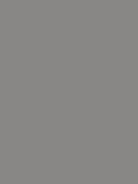 Standox SprayMax reboucheur sous-couche VOC Nonstop U7580S noire